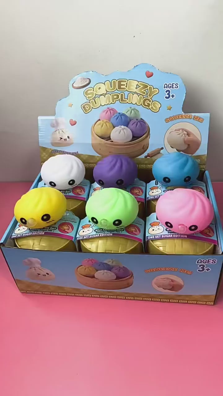 Bubble Dumpling Squishy Mystery Toy